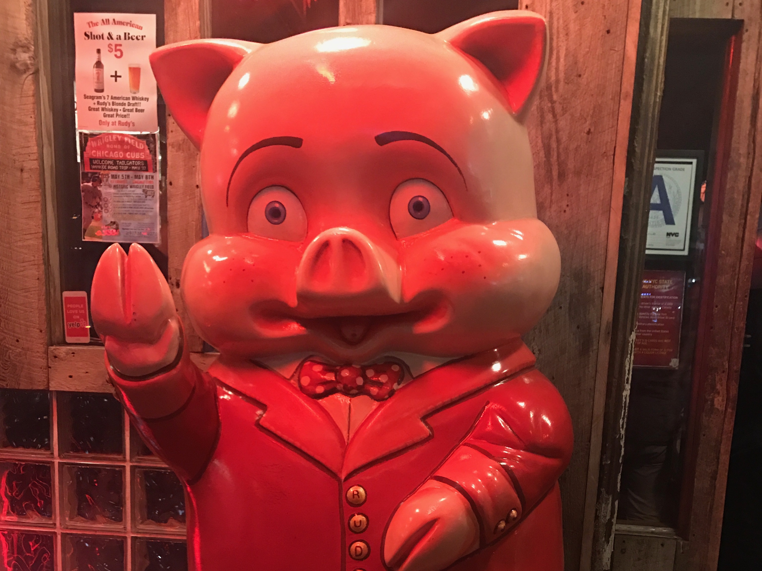 pig.jpg